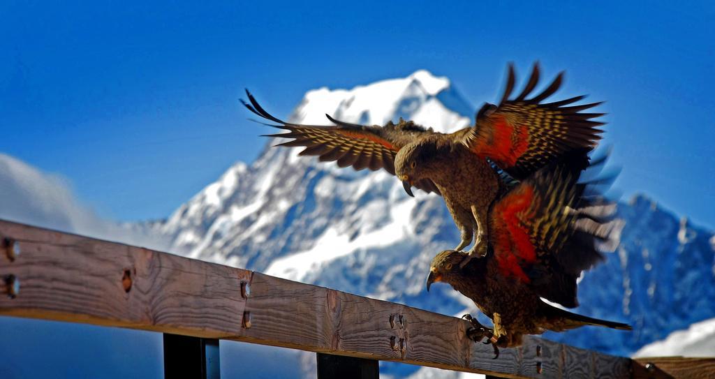 Отель Glentanner Park Centre Aoraki / Mount Cook Экстерьер фото
